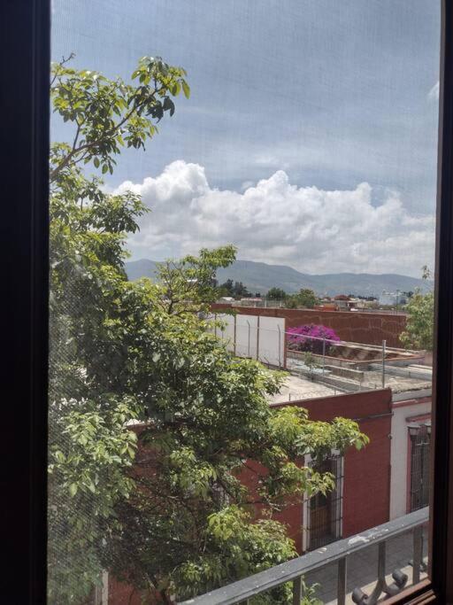 شقة M1010 Agradable Departamento Centrico En Oaxaca المظهر الخارجي الصورة